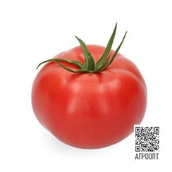 Кавагучи F1 семена томата (Rijk Zwaan / Райк Цваан)