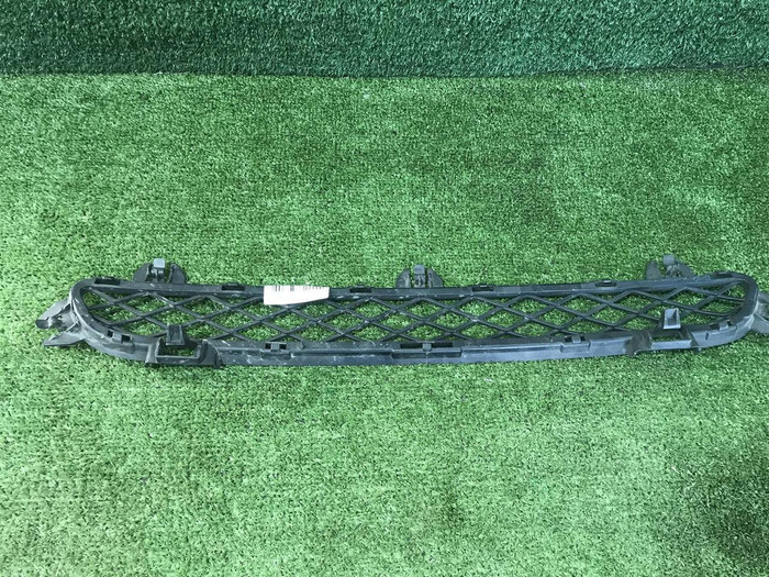 Решетка переднего бампера BMW X3 F25 (2010-2014)