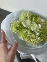Букет моно из зеленых диантусов