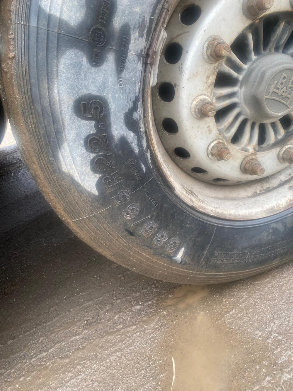Kassbohrer MAXIMA Полуприцеп шторный MAXIMA