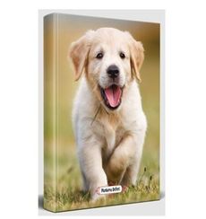 Halk Mutlu Prens Süresiz Planlama Defteri