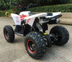 Детский квадроцикл MOTAX GEKKON 90cc 1+1 (Реверс)