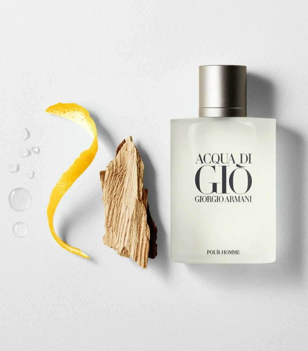 GIORGIO ARMANI туалетная вода Acqua di Gio pour Homme, 50 мл, 100 г