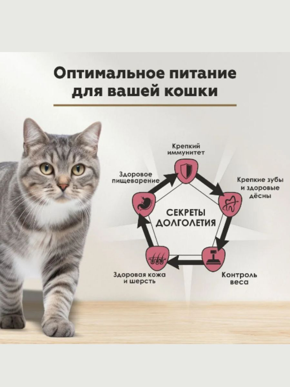 Влажный корм Secret Life Force (Секрет) 0,085кг курица в соусе пауч для кошек, В комплекте 24 упаковок