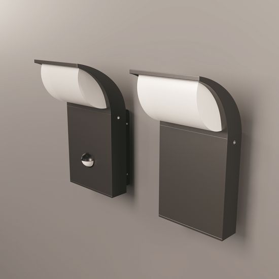 Уличный настенный светильник Outdoor O446WL-L7GF3K