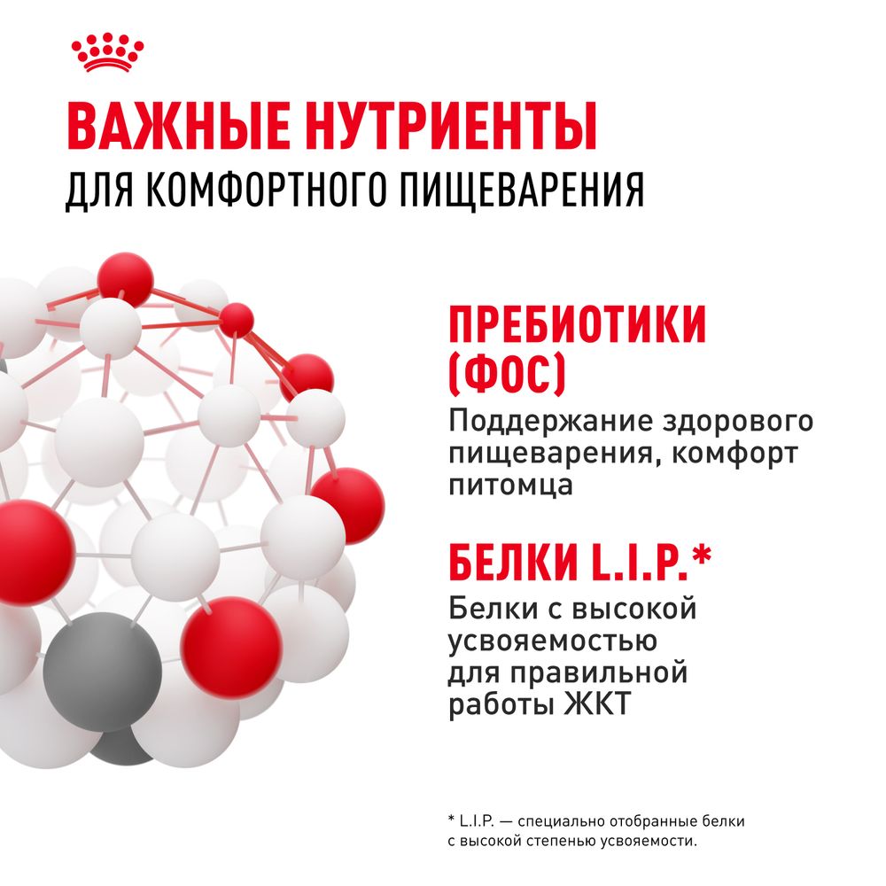 Сухой корм Royal Canin Sensible 33 для взрослых кошек с чувствительной пищеварительной системой