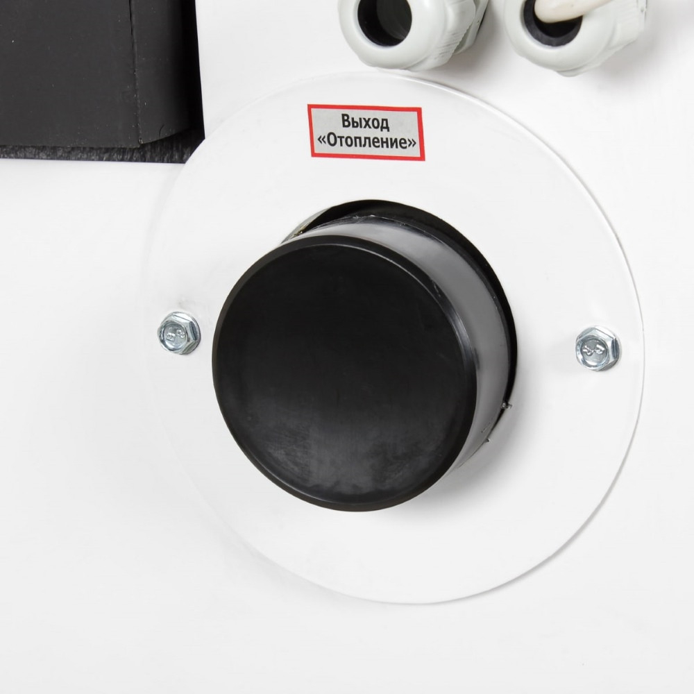 Котел газовый Лемакс Wester Clever 30