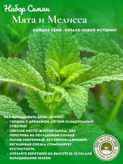 Набор трав Мята, Мелисса, семена 0,14 гр. 2 пачки