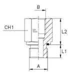 Соединение PFE BSP 1 BSP 1.1/4