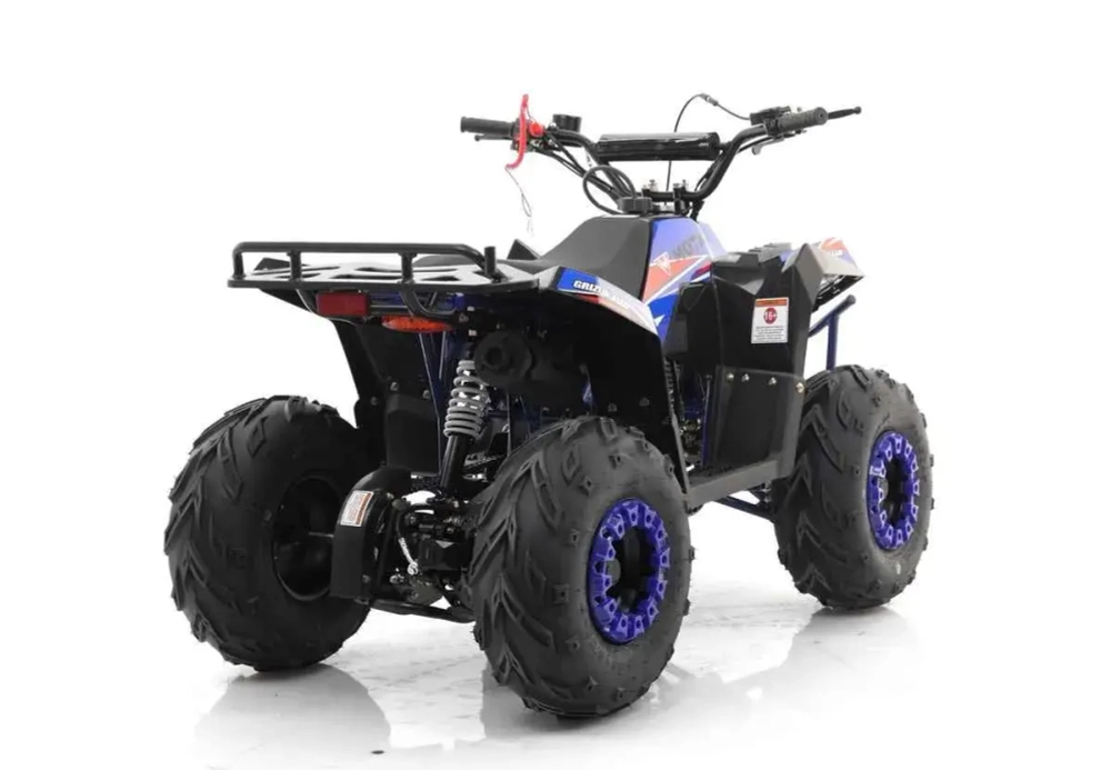 Квадроцикл MOTAX GRIZLIK A110