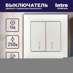 Выключатель Intro Solo 4-105-06 двухклавишный с подсветкой, 10А-250В, IP20, СУ, перламутр