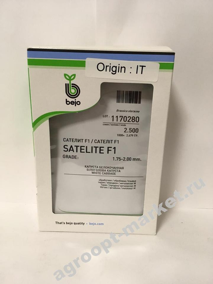 Сателит F1 семена капусты белокочанной (Bejo / Бейо) – фото 3