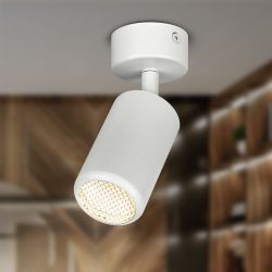 Светильник настенно-потолочный спот ЭРА OL55 WH MR16 GU10 IP20 белый | Накладные светильники