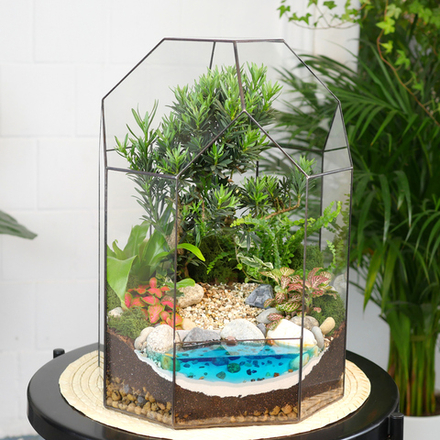 Готовый флорариум бонсай Подокарпус Бонсариум XL с озером