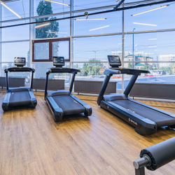 Профессиональная беговая дорожка SHUA SH-T8919T (15,6" экран)