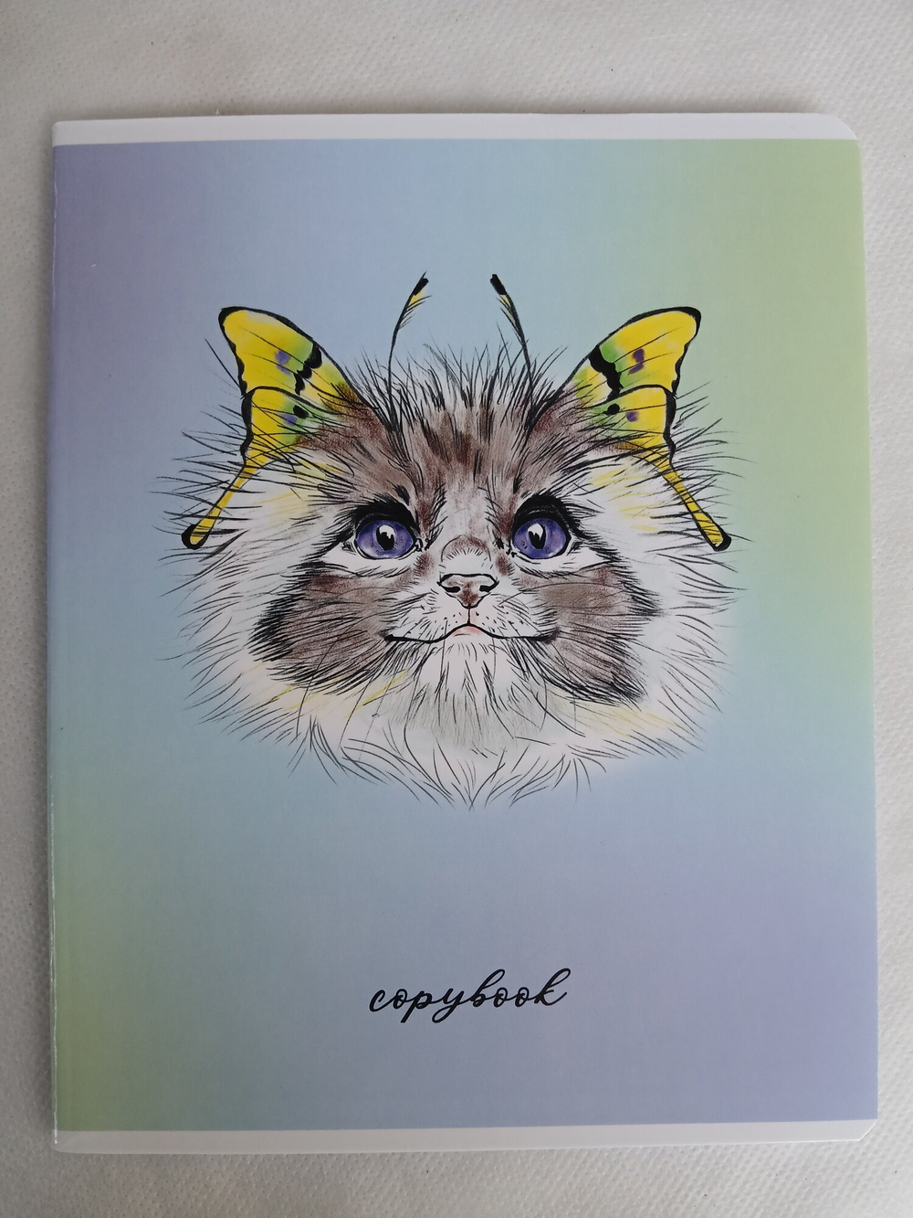 Тетради 48 листа А5+.  "Кошки-Бабочки", общая, клетка. Формат А5+ (163*203 мм). Арт.120006. С полями. Комплект 5 шт.