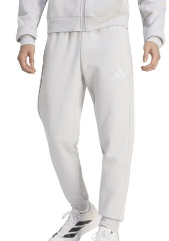 Мужские теннисные штаны Adidas Entrada 26 Sweat - team light grey/white