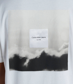 Футболка SERENITY BACK GRAPHIC CALVIN KLEIN JEANS - белый(J30J325931)