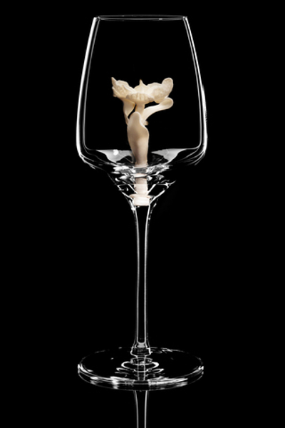 Бокал для белого вина. / Орхидея белая. Высокая.