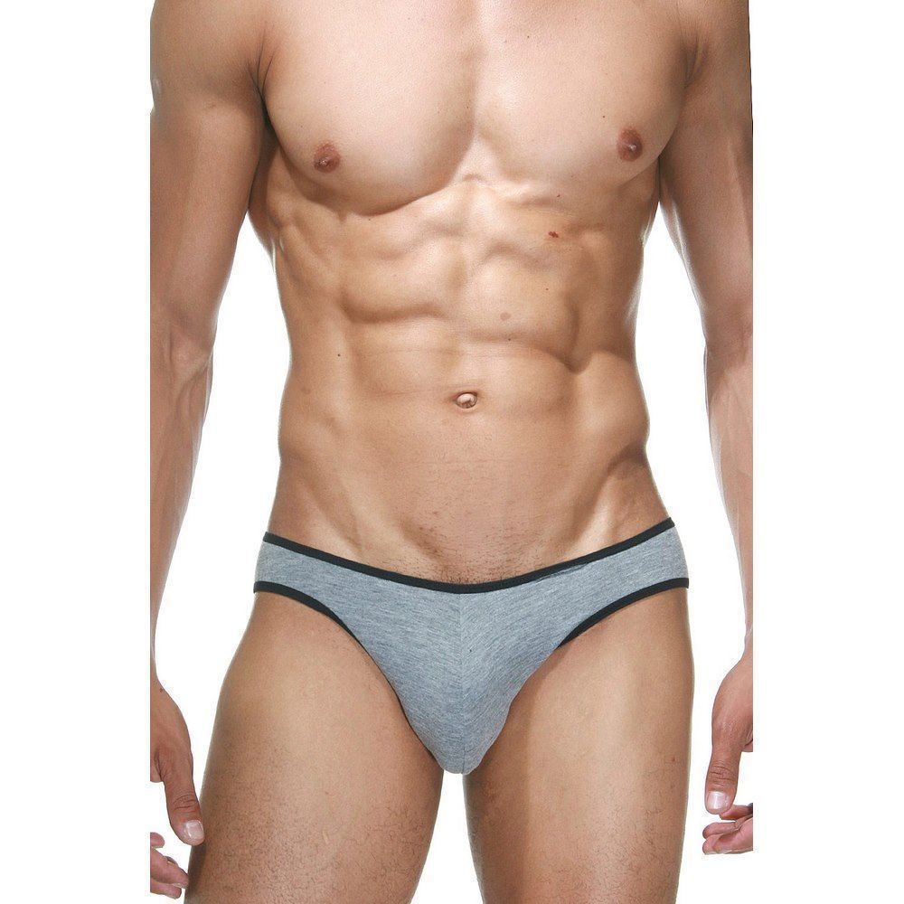 Трусы мужские слипы серые DARKZONE DZN6503