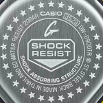Мужские наручные часы Casio G-Shock DW-6900TR-4