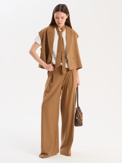 Брюки в полоску