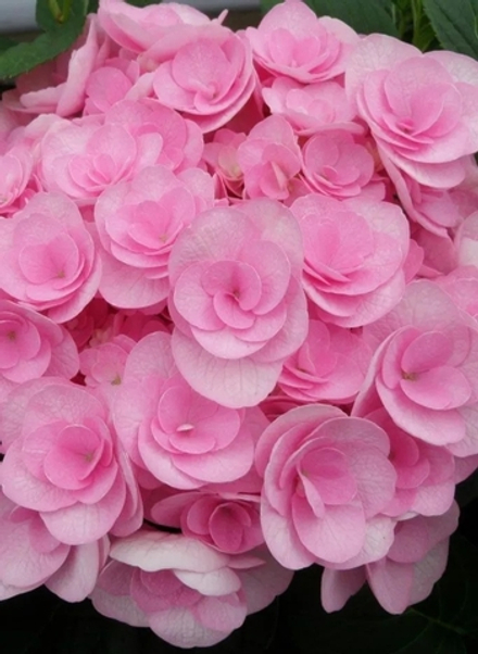 You & Me Love /Ю Энд Ми Лав