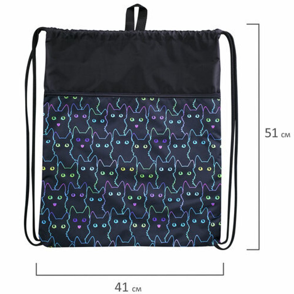 Мешок для обуви BRAUBERG БОЛЬШОЙ, с ручкой, карман на молнии, сетка, 51х41 см, "Cats", 271059