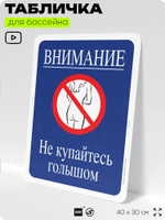 Табличка для бассейна "Внимание, не купайтесь голышом", на пляж, для общественной и частной зоны отдыха, информационная, 40х30 см, Silver Plane x Айдентика Технолоджи
