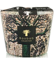 Kani, свеча MAX 10 Sacred Trees collection, Baobab Collection