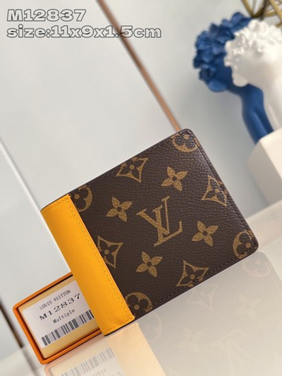 Louis Vuitton Multiple Wallet