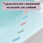 Папка-конверт на кнопке DELI "LonGreen", А4, 8 отделений, ассорти