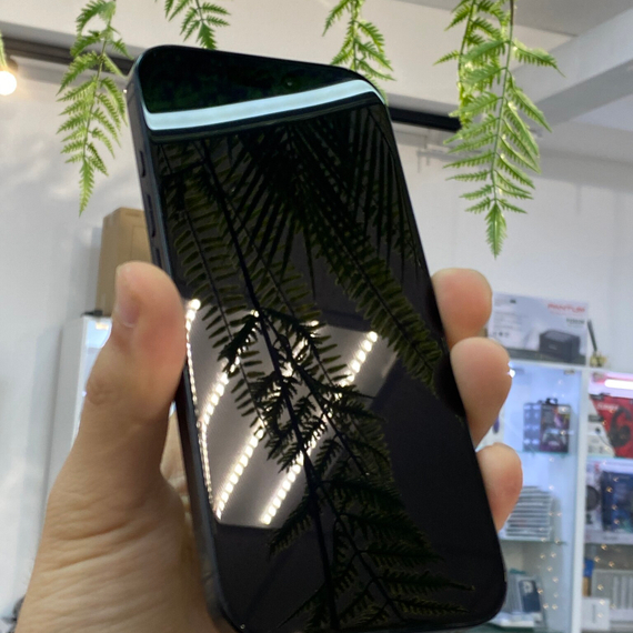 Apple iPhone 16 Pro Max 256Gb