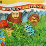 The Beach Boys / Endless Summer (2LP)