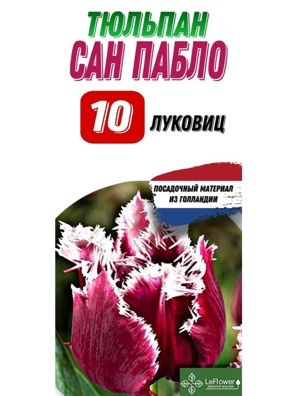 Тюльпан Луковица, Сан Пабло, 10шт