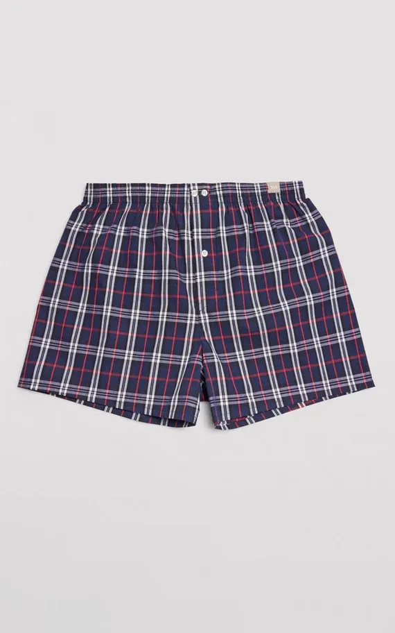 20379 Свободные боксеры