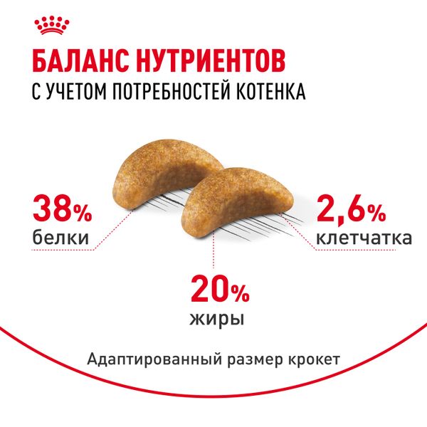Уценка! Срок 08.08.26/ Сухой корм Royal Canin British Shorthair Kitten для британских короткошерстных котят