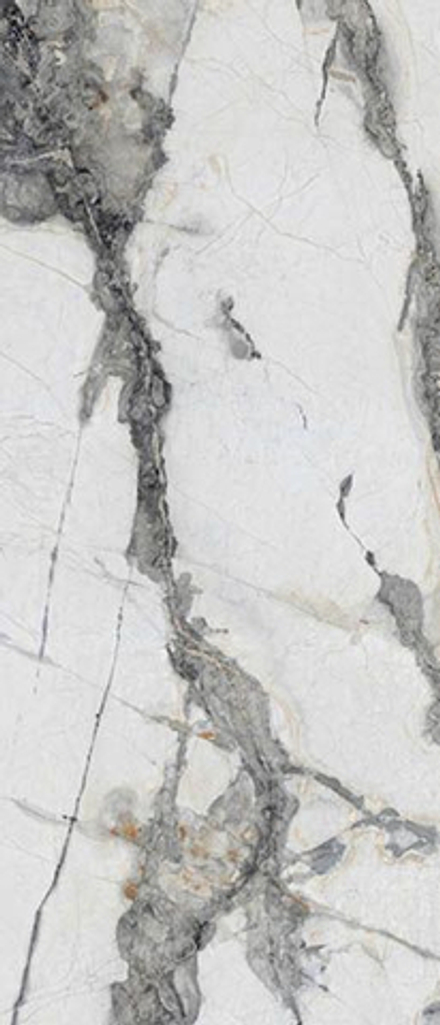 Керамогранит Titanium Renoir Polished (N20416)