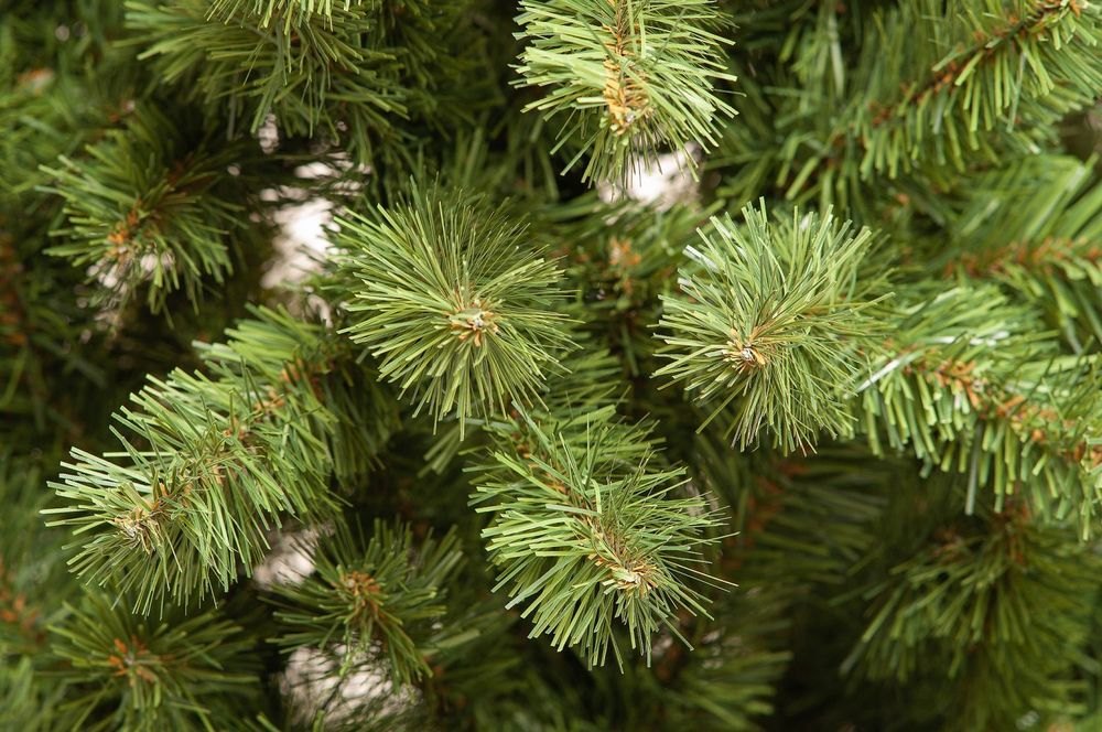 Ель искусственная «Лесная» (пвх) от 1,2 м до 2,1 м