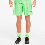 Мужские шорты PUMA teamLIGA Shorts