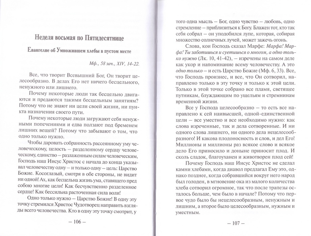 Беседы на Евангелие в 2-х книгах. Святитель Николай Сербский + приложение