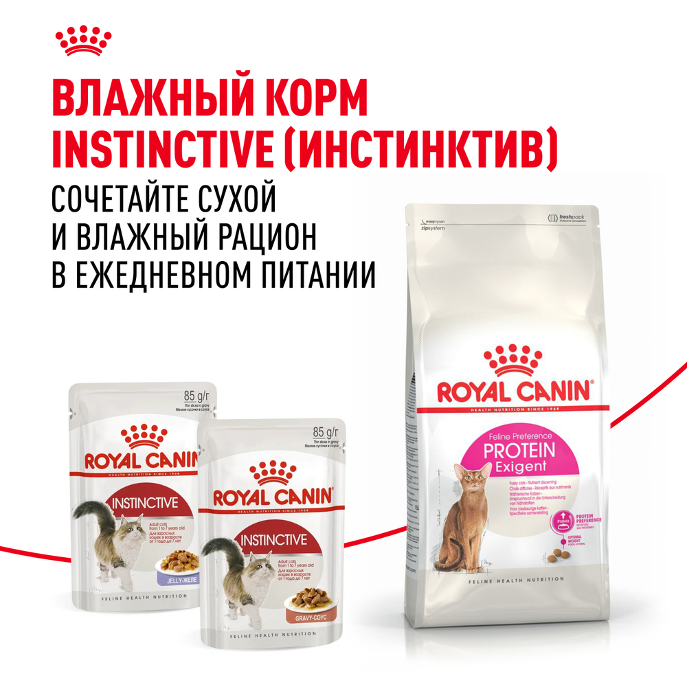 Сухой корм Royal Canin Protein Exigent для привередливых взрослых кошек от 1 года 10кг