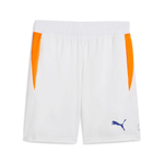 Мужские шорты PUMA Individual Padel Trg Short