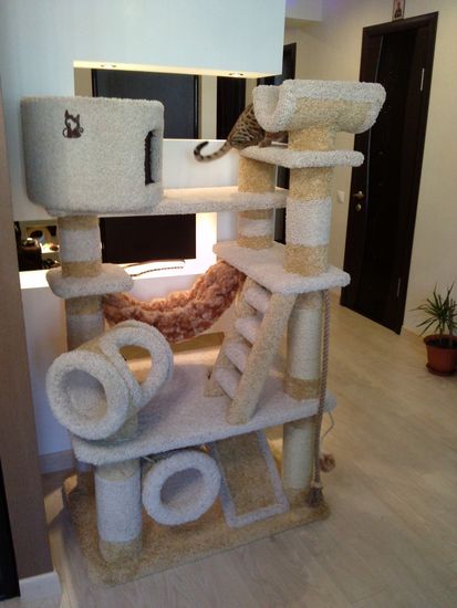 Домик для кошки Д-104