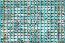 FRAME 8