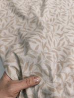 Поплин / Папоротник компаньон