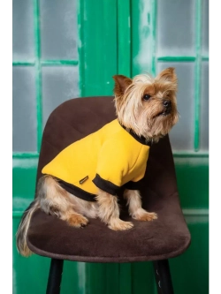 Толстовка для собак и кошек