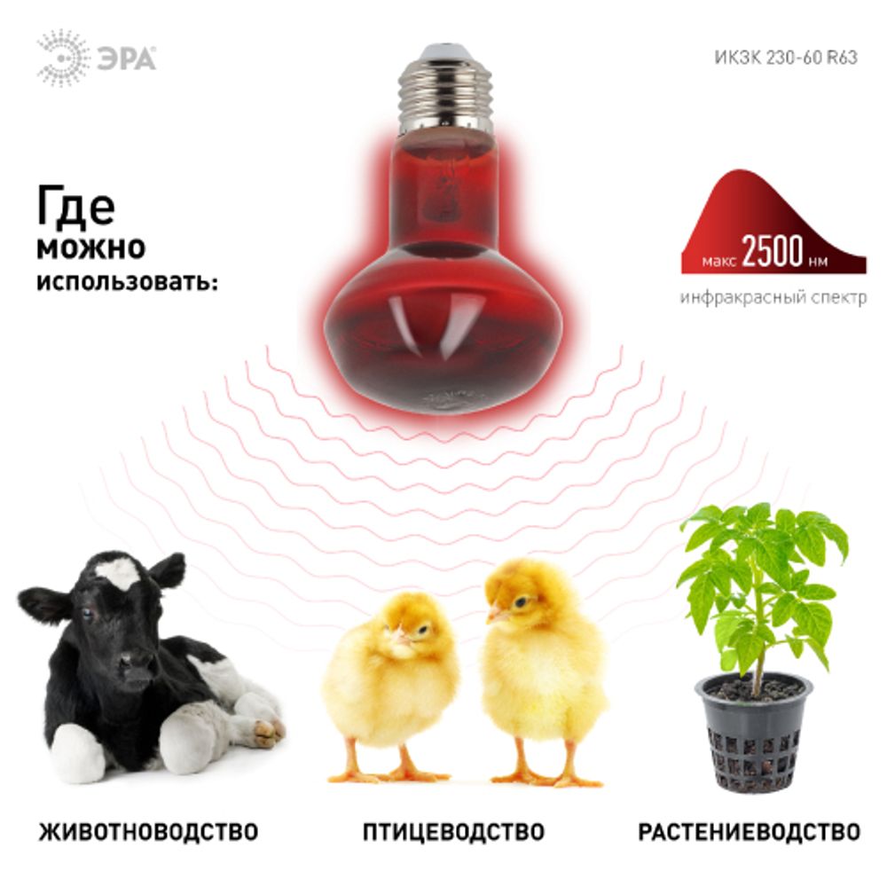 Инфракрасная лампа ЭРА ИКЗК 230-60 R63 для обогрева животных и освещения 60 Вт Е27 | Инфракрасные лампы
