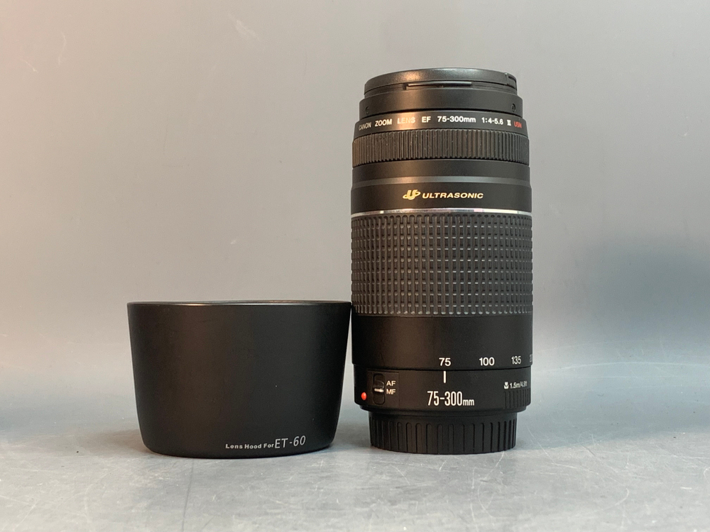 Canon EF 75-300mm 4-5.6 III USM