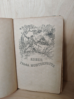 Ответный визит